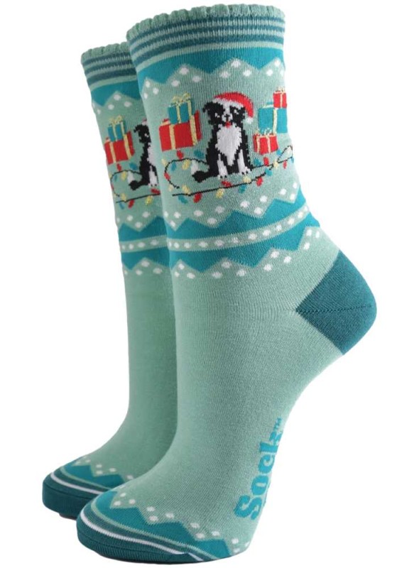 Bambustrumpor Border Collie, dam, från Sock Talk