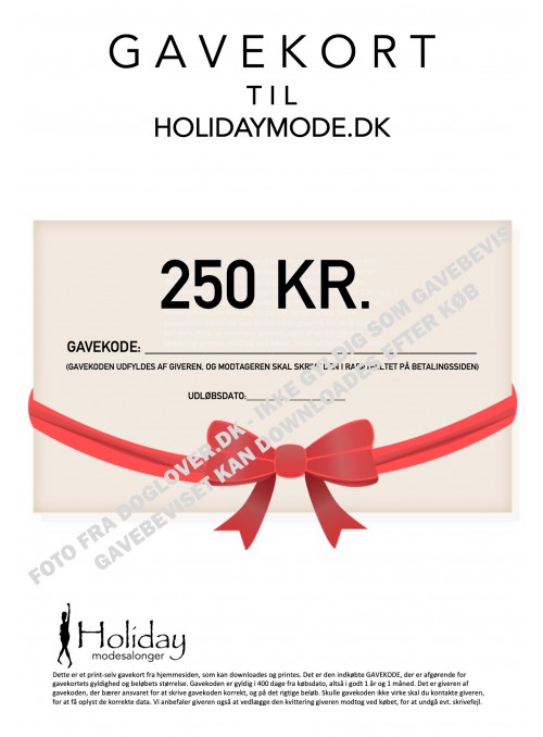 Gavekort 100 kr.
