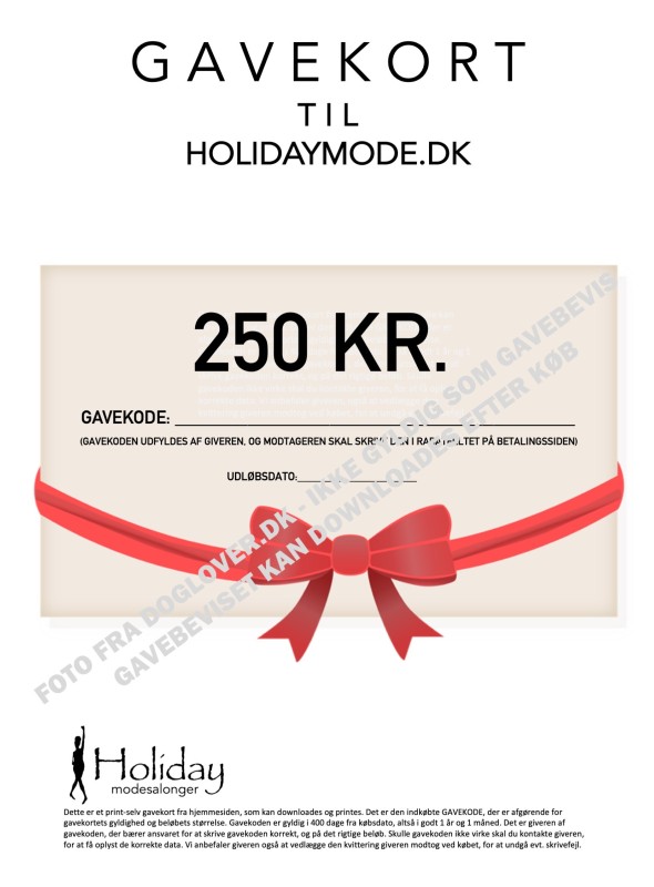 Gavekort 100 kr.