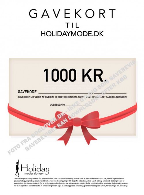 Gavekort 100 kr.