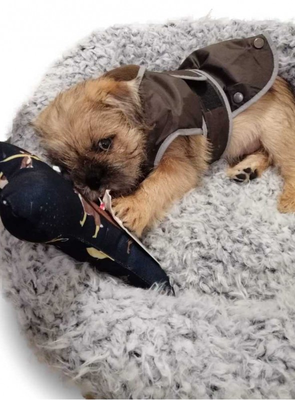 Hundsäng Fluffy Feelgood 60 cm