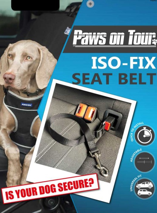 Hundsäkerhetssele ISOFIX