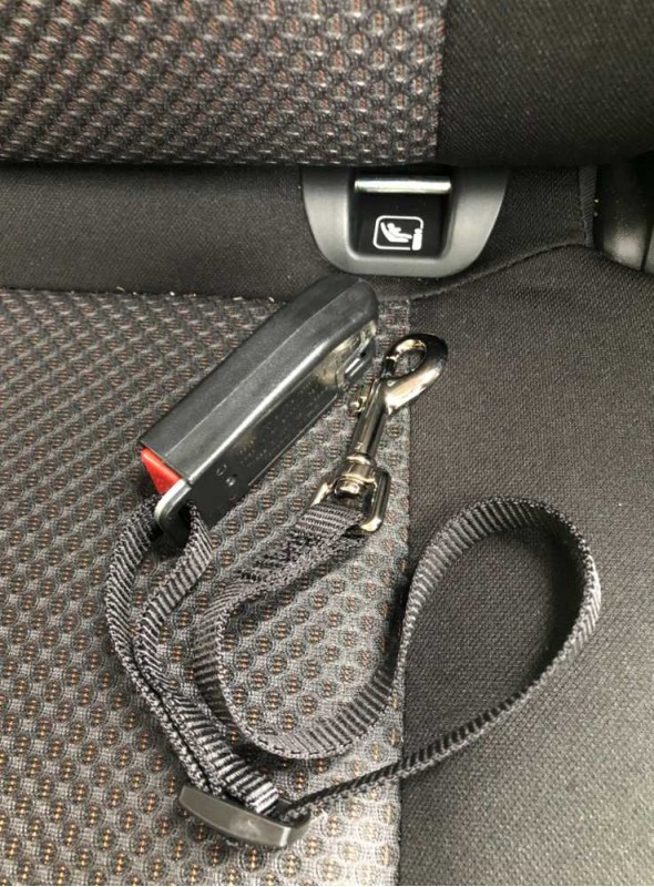 Hundsäkerhetssele ISOFIX