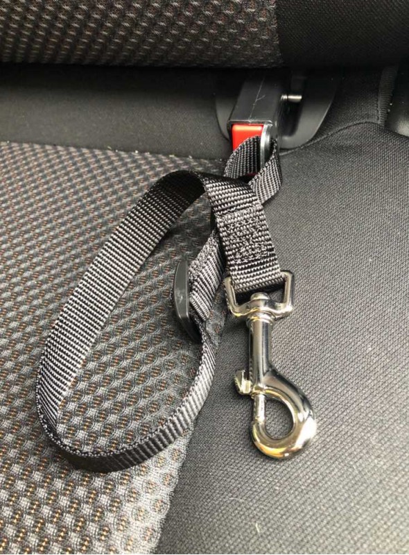 Hundsäkerhetssele ISOFIX
