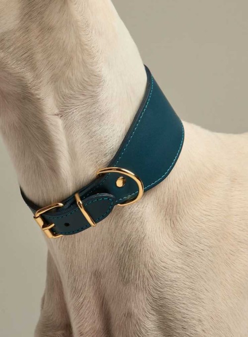 Halsband för vinthundar eller andra hundar med lång hals, blå