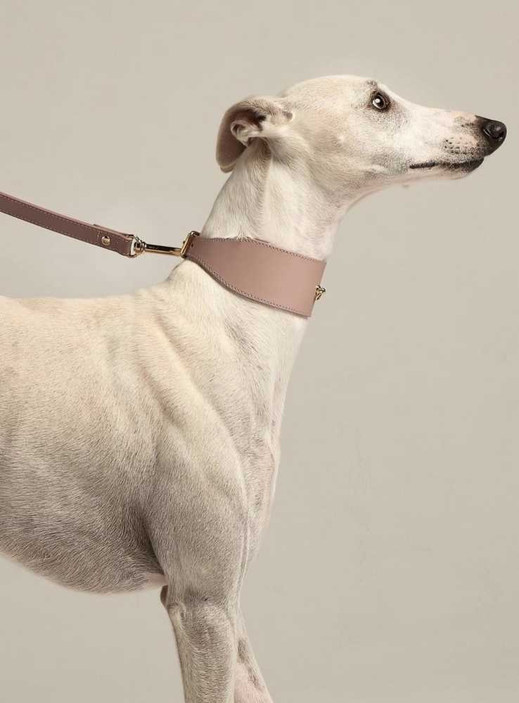 Halsband för vinthundar eller andra hundar med lång hals, rosa